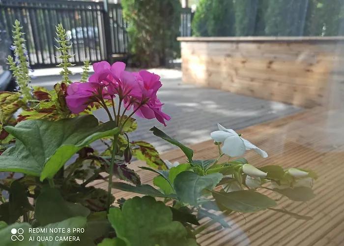 New Loft Apartments Jurmala With Free Secured Parking