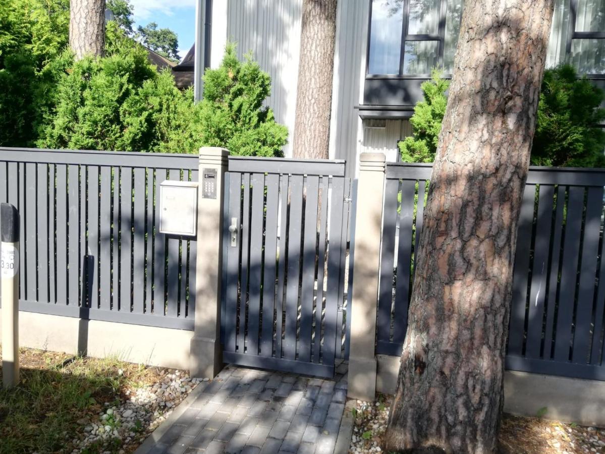 Apartment New Loft With Free Secured Parking