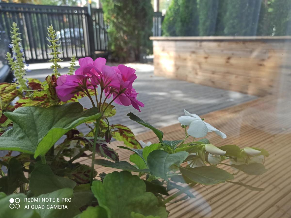 New Loft With Free Secured Parking Apartment Jūrkalne