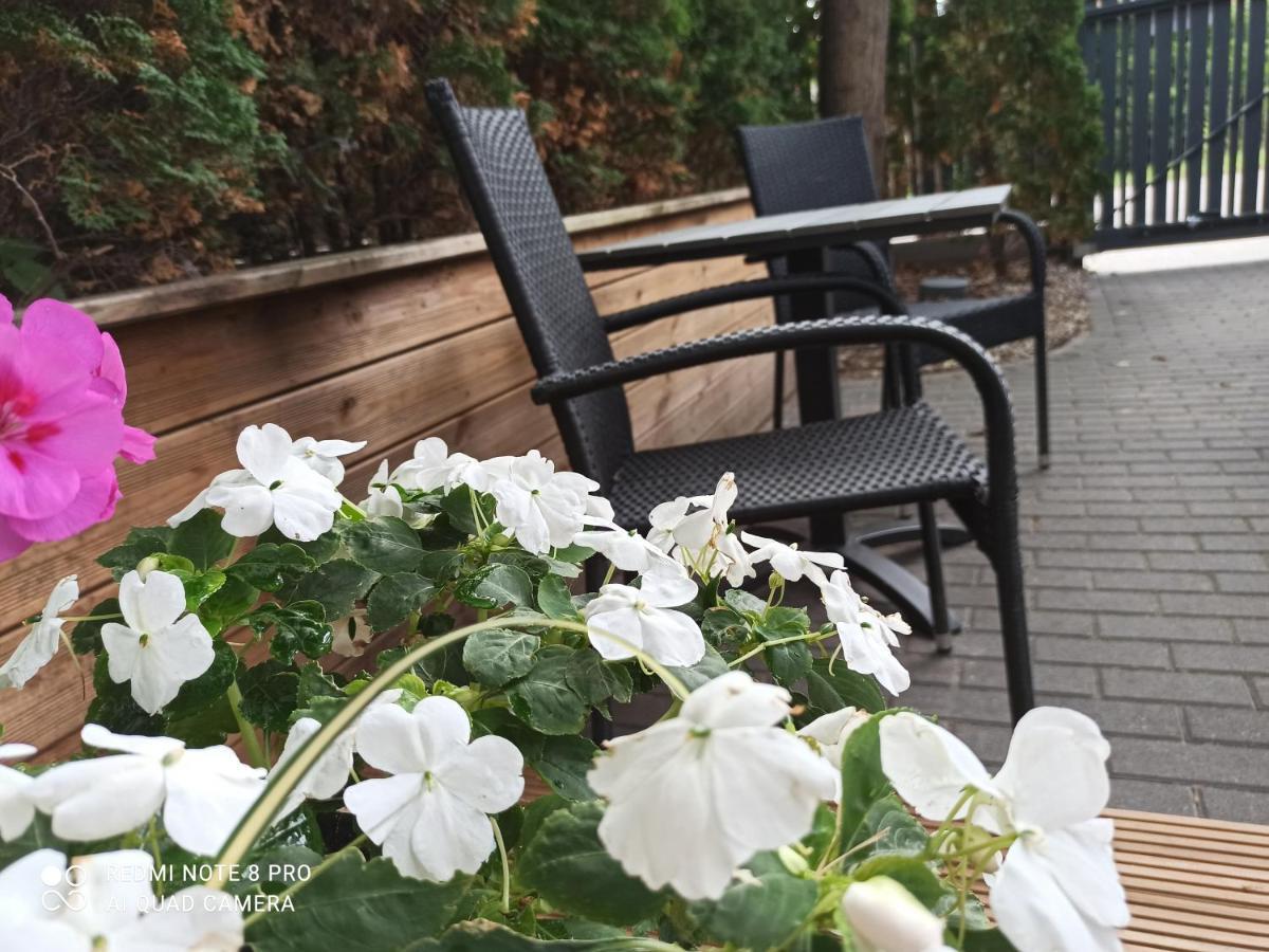 New Loft With Free Secured Parking Apartment